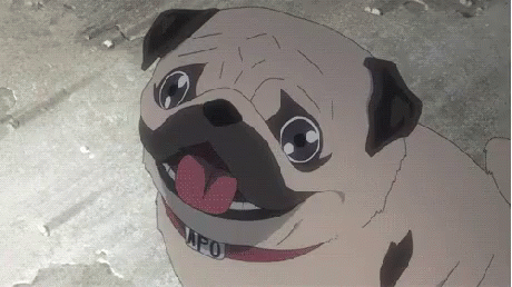 Pug Anime GIF - Pug Anime Amazing GIFs