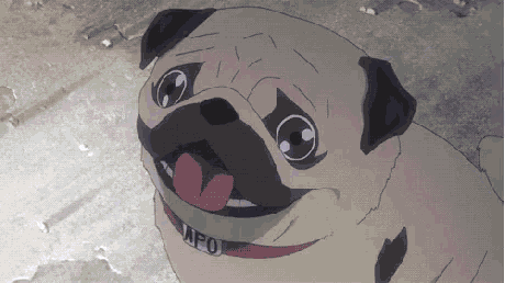 Pug Anime GIF