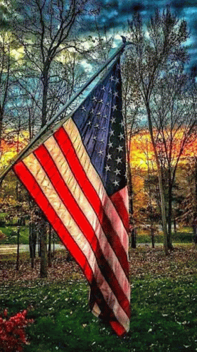 American Flag Autumn GIF