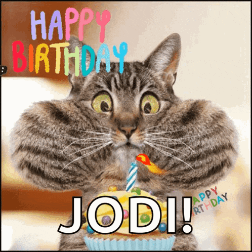 a birthday card with a cat holding a cupcake with a candle and the name jodi on it
