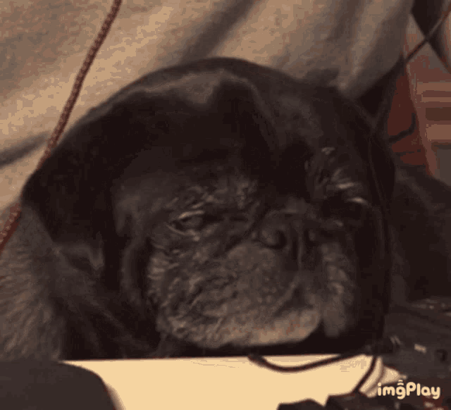 Nap Time Bed Time GIF - Nap Time Bed Time Sleepy GIFs