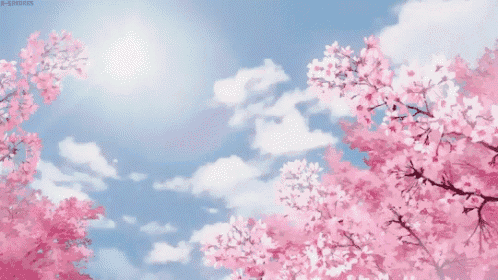 cherry blossoms are against a blue sky with clouds