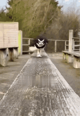a person wearing a black shirt with a cross on it is jumping over a wooden beam
