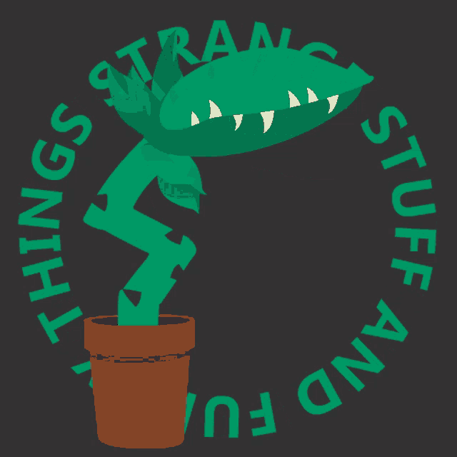 Strange Stuff And Funky Things Ssaft GIF - Strange Stuff And Funky Things Ssaft Plante Carnivore GIFs