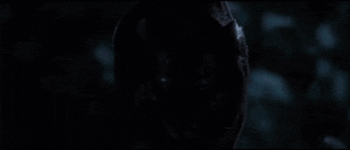 a close up of a tiger 's face in a dark room