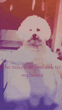 He Makes Me Feel Sick To My Bones Dog GIF - He Makes Me Feel Sick To My Bones Dog Dance GIFs