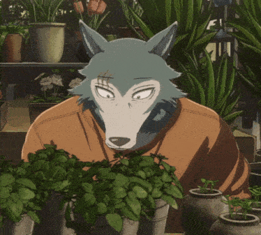 a cartoon character with a wolf 's head is looking at plants