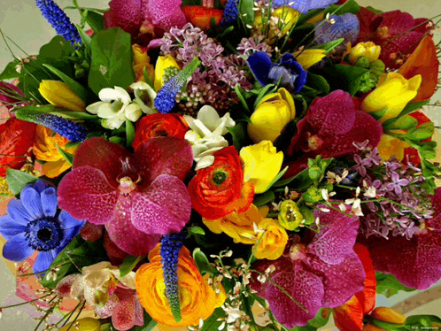 a bouquet of colorful flowers with purple orchids in the center