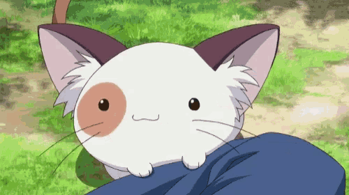 a small white cat with a brown spot on its face