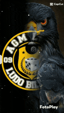a picture of an eagle with a logo that says agm