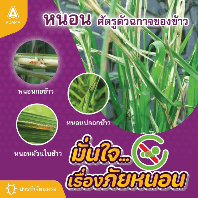 a poster in a foreign language shows a plant