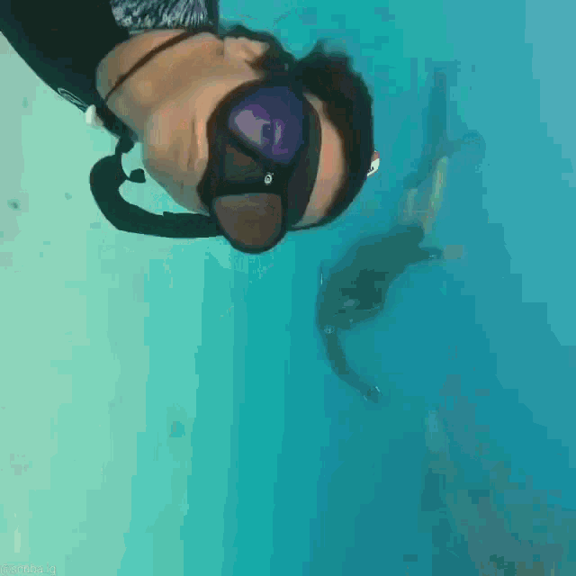 Woman Freediving Shark GIF - Woman Freediving Shark GIFs