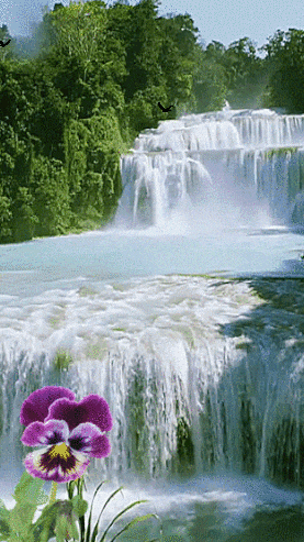 a waterfall with purple flowers in the foreground