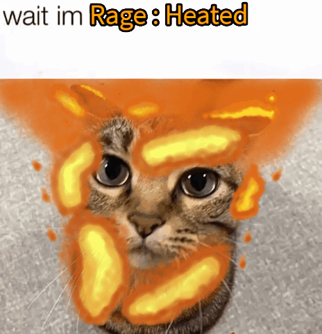 Rage Cat GIF - Rage Cat Gato GIFs