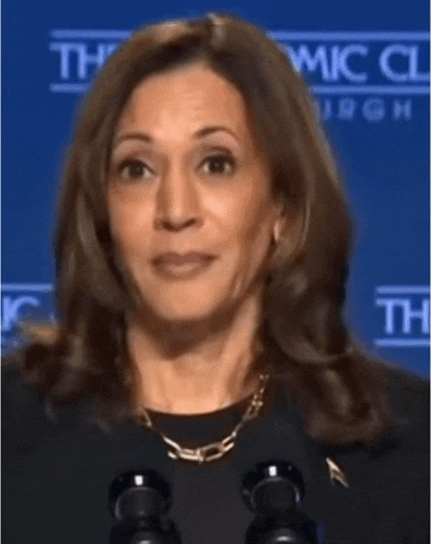 a woman stands in front of a microphone in front of a blue background that says the economic club