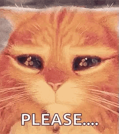 a close up of a cat 's face with its eyes closed and the word please written below it .