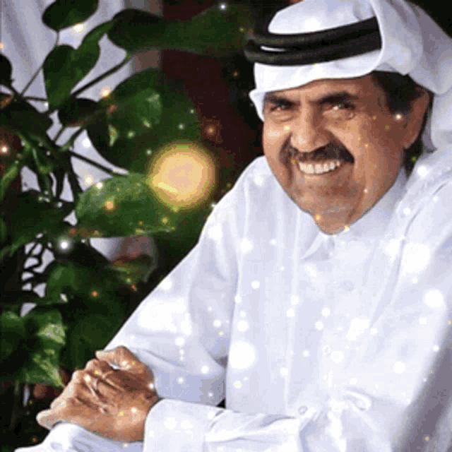 Qatar Althani GIF - Qatar Althani Smiling GIFs