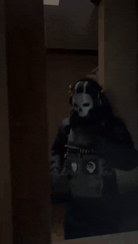 a person wearing a skull mask is standing in the dark .
