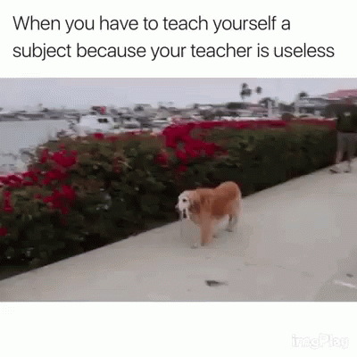 Uniproblems College GIF - Uniproblems Uni College GIFs