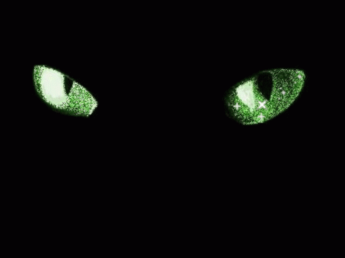 Green Eyes Cats Eyes GIF - Green Eyes Cats Eyes Glitter Eyes GIFs