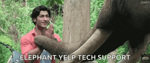 a man petting an elephant with the words elephant yelp tech support