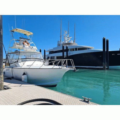 Private Overnight Reef Fishing Fishing Charters Whitsundays GIF - Private Overnight Reef Fishing Fishing Charters Whitsundays GIFs