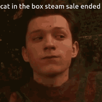 Cat In The Box Steam GIF - Cat In The Box Steam Sale GIFs