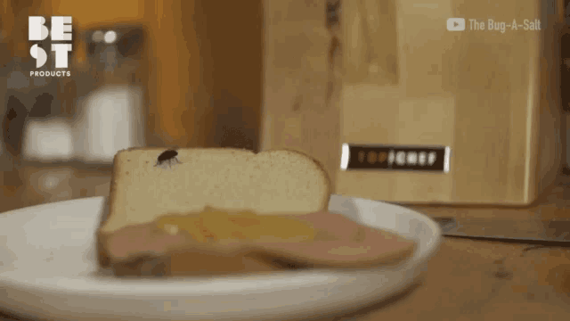 a white plate with a sandwich on it that says be st products on the bottom