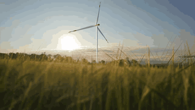 a wind turbine in a grassy field with the sun behind it