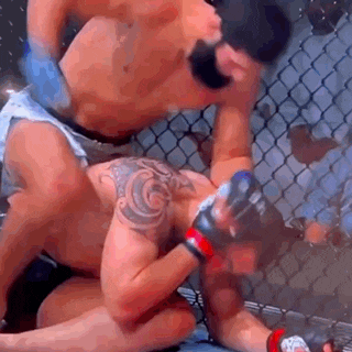 two men are fighting in a cage and one of them is laying on the ground .