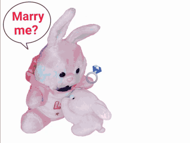 a stuffed animal says marry me next to a heart that says " my universe "