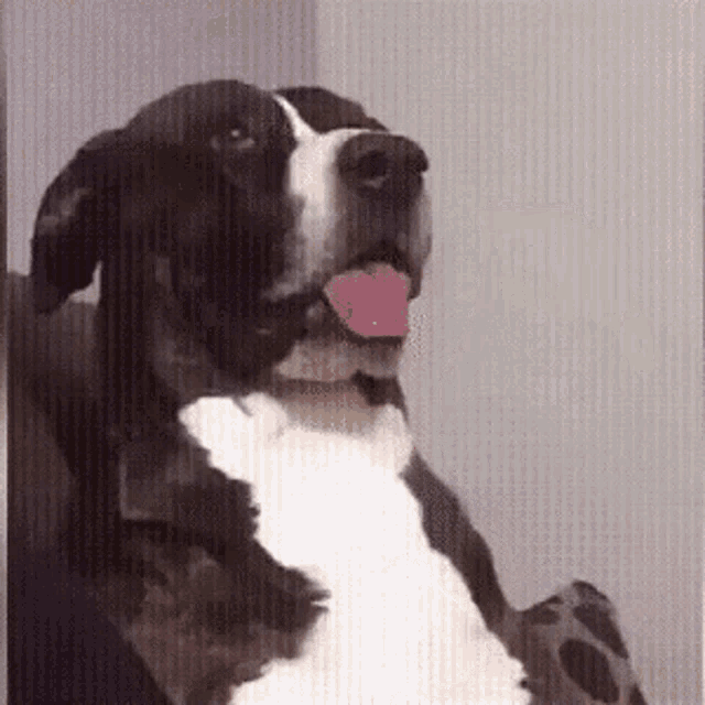 What Confused GIF - What Confused Face GIFs