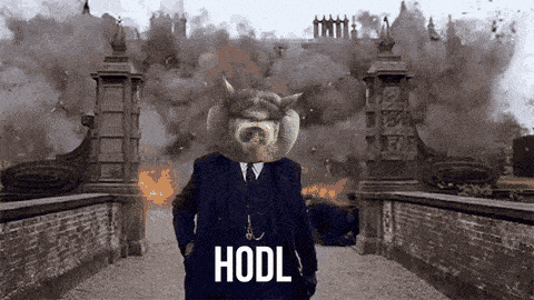 a man in a suit with a cat 's head and the word hodl written on his chest