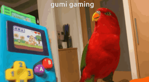 Gumi Gaming Red Birb GIF - Gumi Gaming Red Birb Chattering Lory GIFs