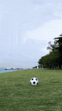 a black and white soccer ball is sitting in the grass near the water