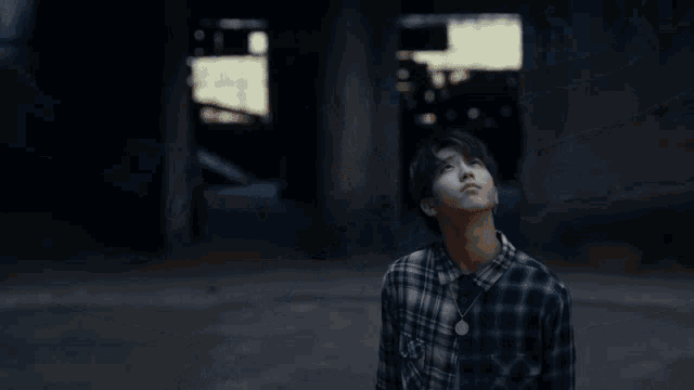a person in a plaid shirt is looking up at the sky