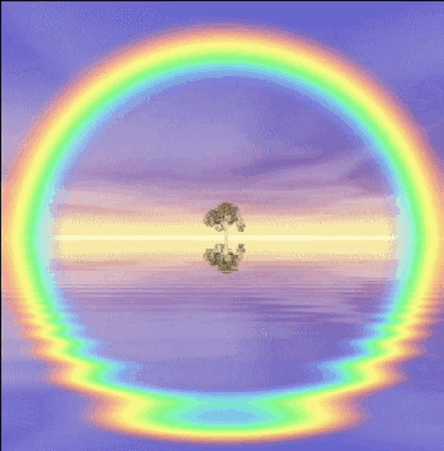 a rainbow is surrounding a tree in the water