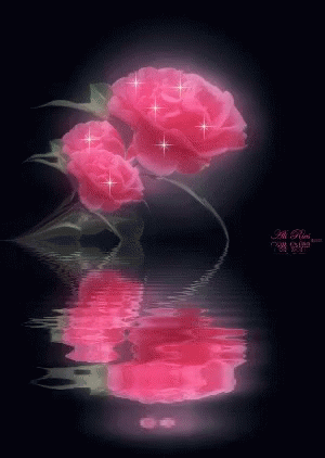 Floral Water GIF - Floral Water Flower Reflection GIFs