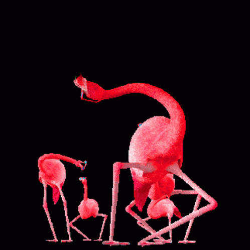 Танцующий Фламинго. Розовый Фламинго. Смешной Фламинго. Фламинго танцует