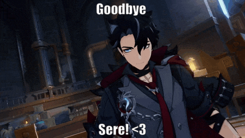 a video game character says goodbye and says sere