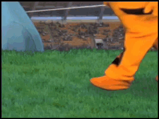 Garfield Slapping GIF - Garfield Slapping Smack Down GIFs