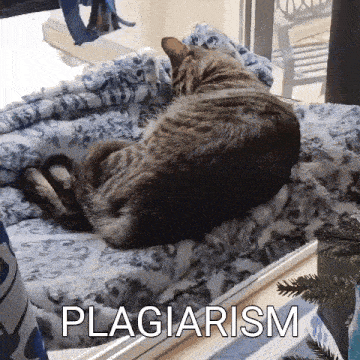 a cat is laying on a blanket with plagiarism written on the bottom
