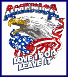 a poster that says america love it or leave it with an eagle