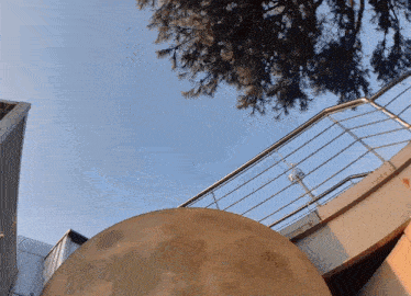 looking up at a metal railing with a tree behind it