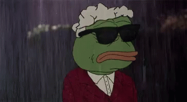 Pepe Meme GIF - Pepe Meme Rain GIFs