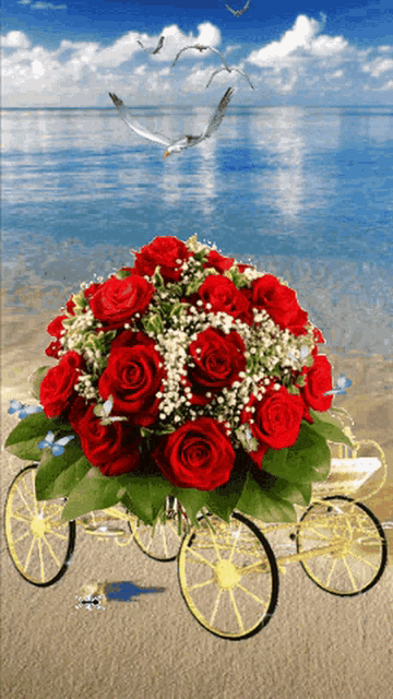 a bouquet of red roses in a carriage on a beach