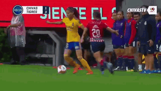 a soccer game between chivas and tigres is being shown on chivastv