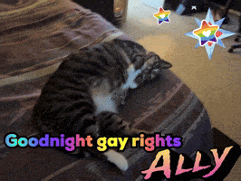 a cat is laying on a bed with the words " goodnight gay rights ally " above it