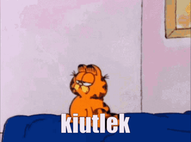 a cartoon of garfield sitting on a bed with the word kiutlek written below him