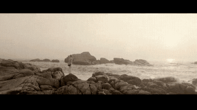 a man is standing on a rocky shoreline near the ocean